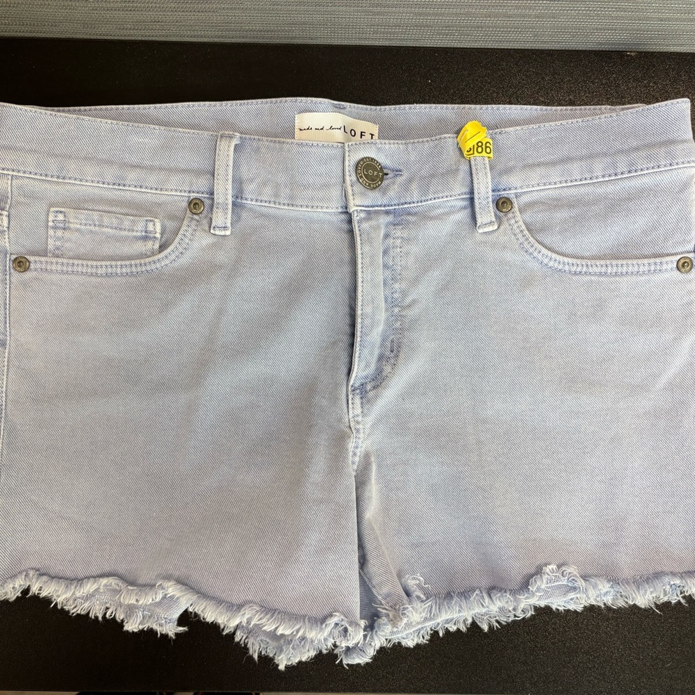 LOFT Soft Blue Casual Shorts
